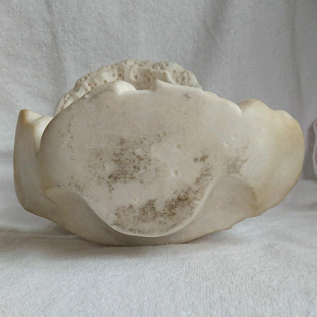 彫刻石像 少女 胸像