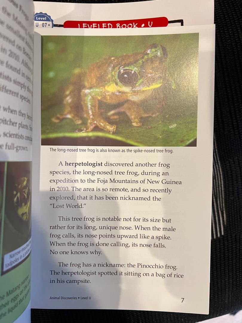 raz (Reading A-Z) level U 90冊