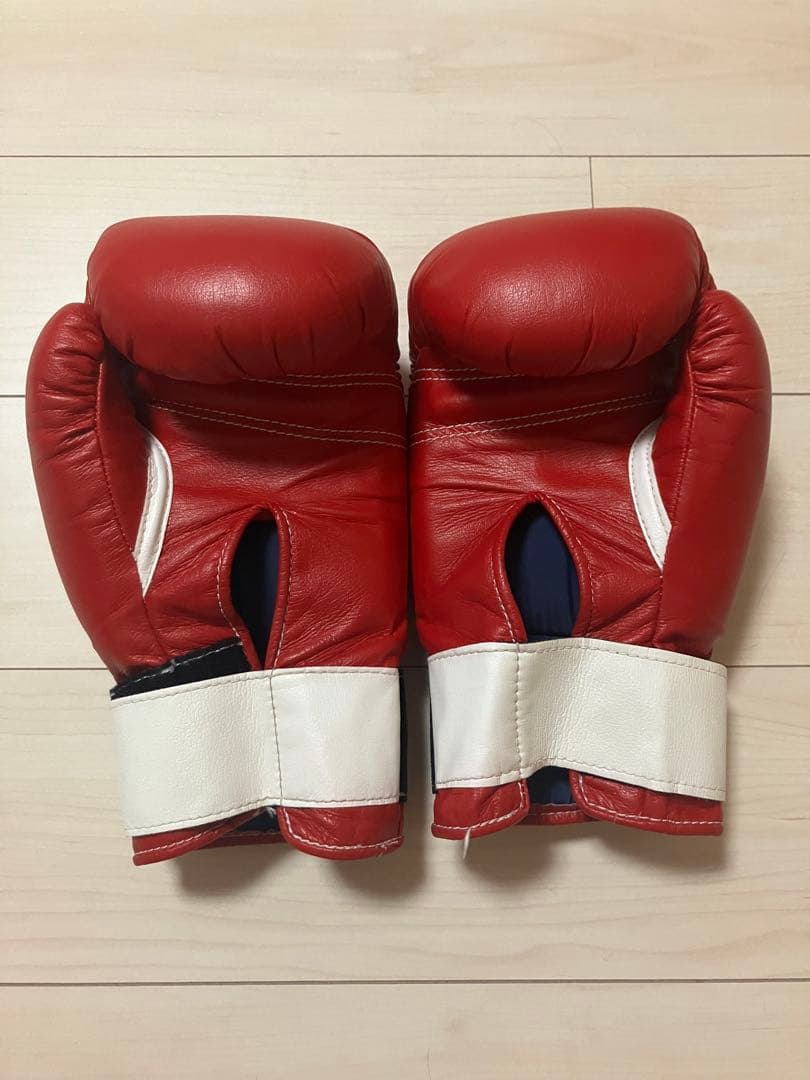 winning ウィニングボクシンググローブ レッド10オンス AM-10