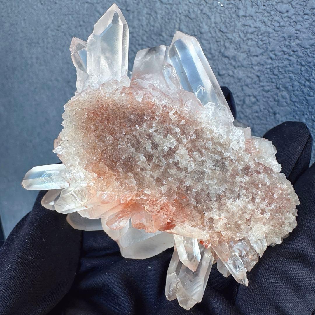 ぽんぽん♪　ヒマラヤクラスター A1168、A1244、A1185