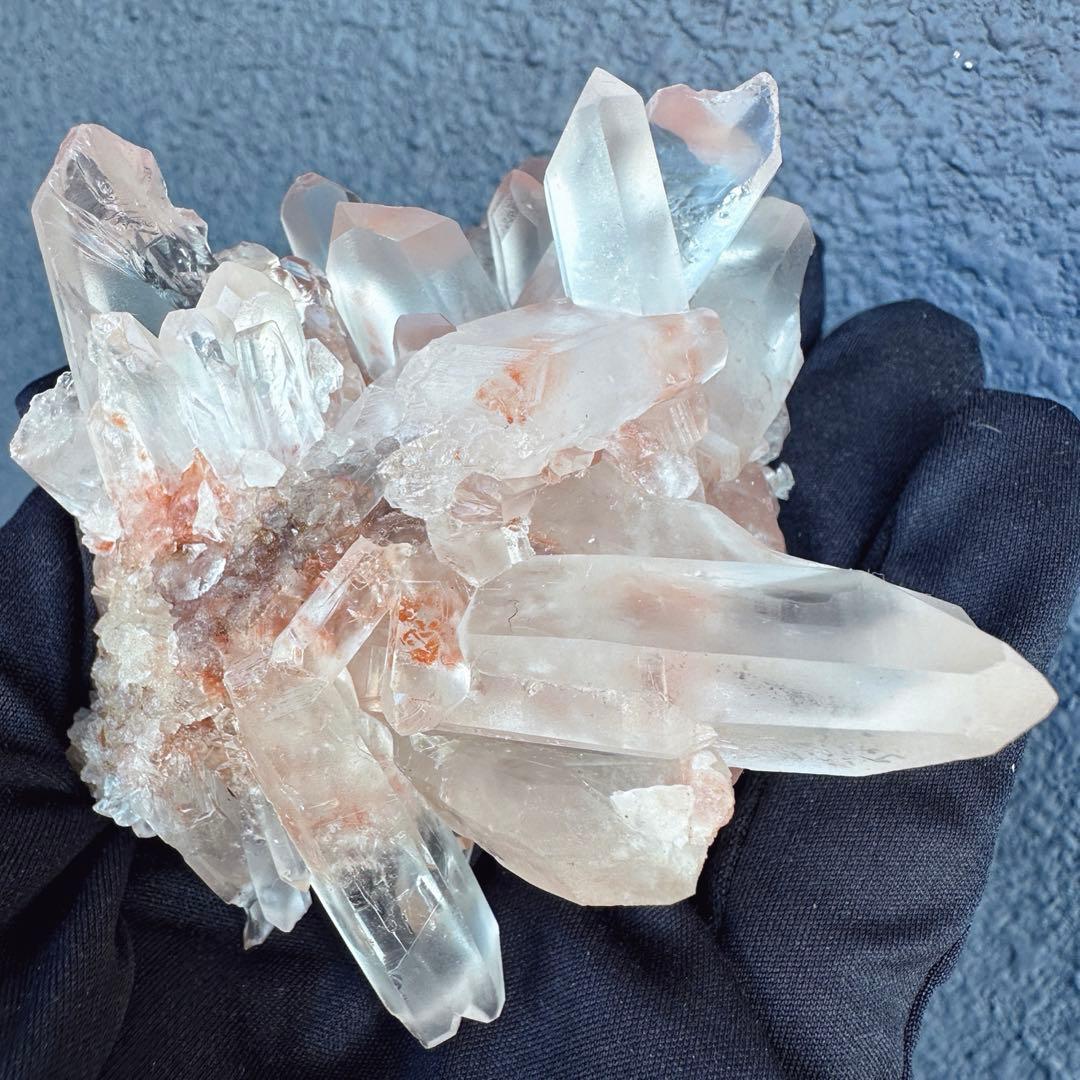 ぽんぽん♪　ヒマラヤクラスター A1168、A1244、A1185