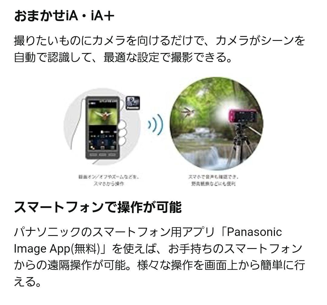 Panasonicビデオカメラ W585M 64GB HC-W585M-W