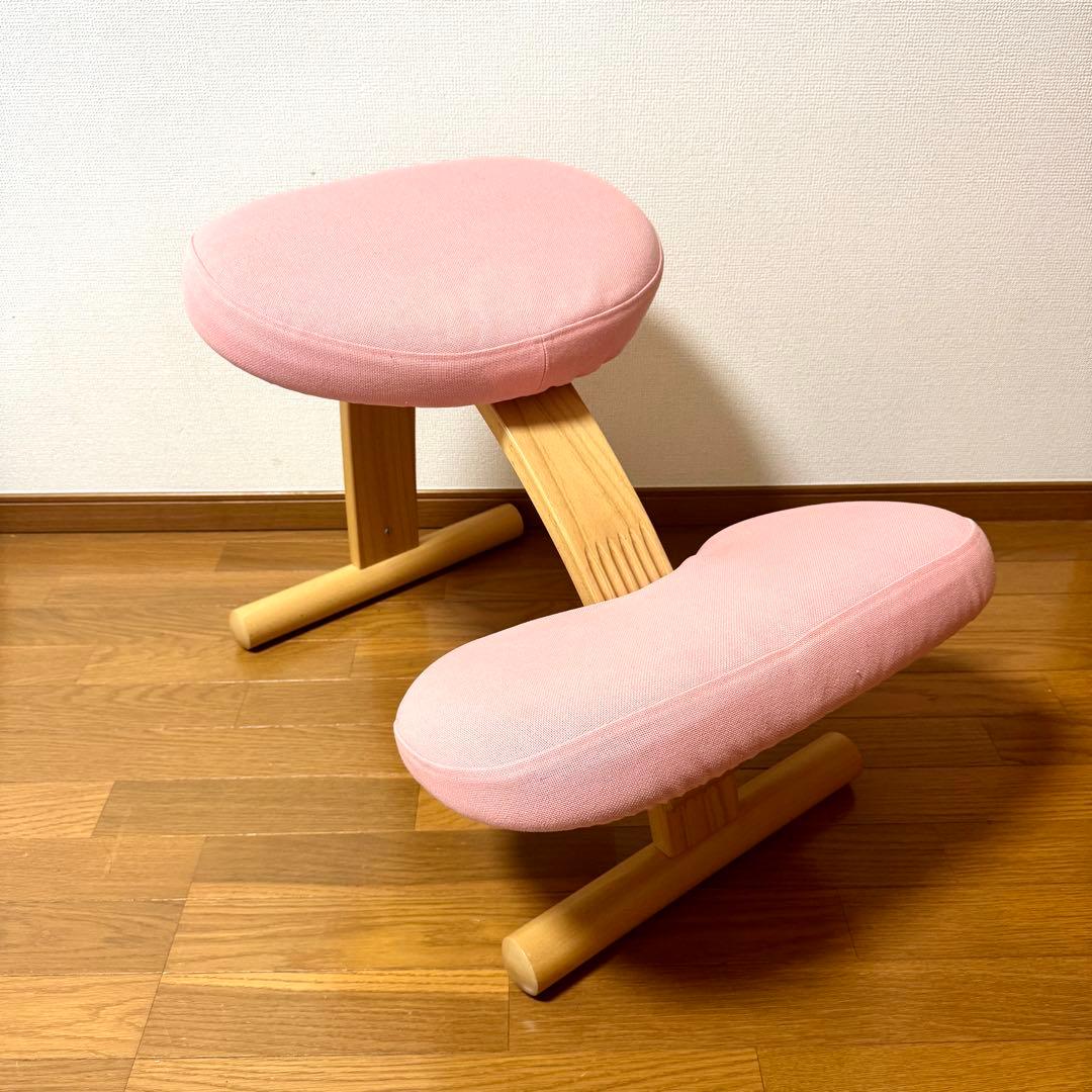 【minipham】 バランスイージー Rybo リボ社 カバー付き