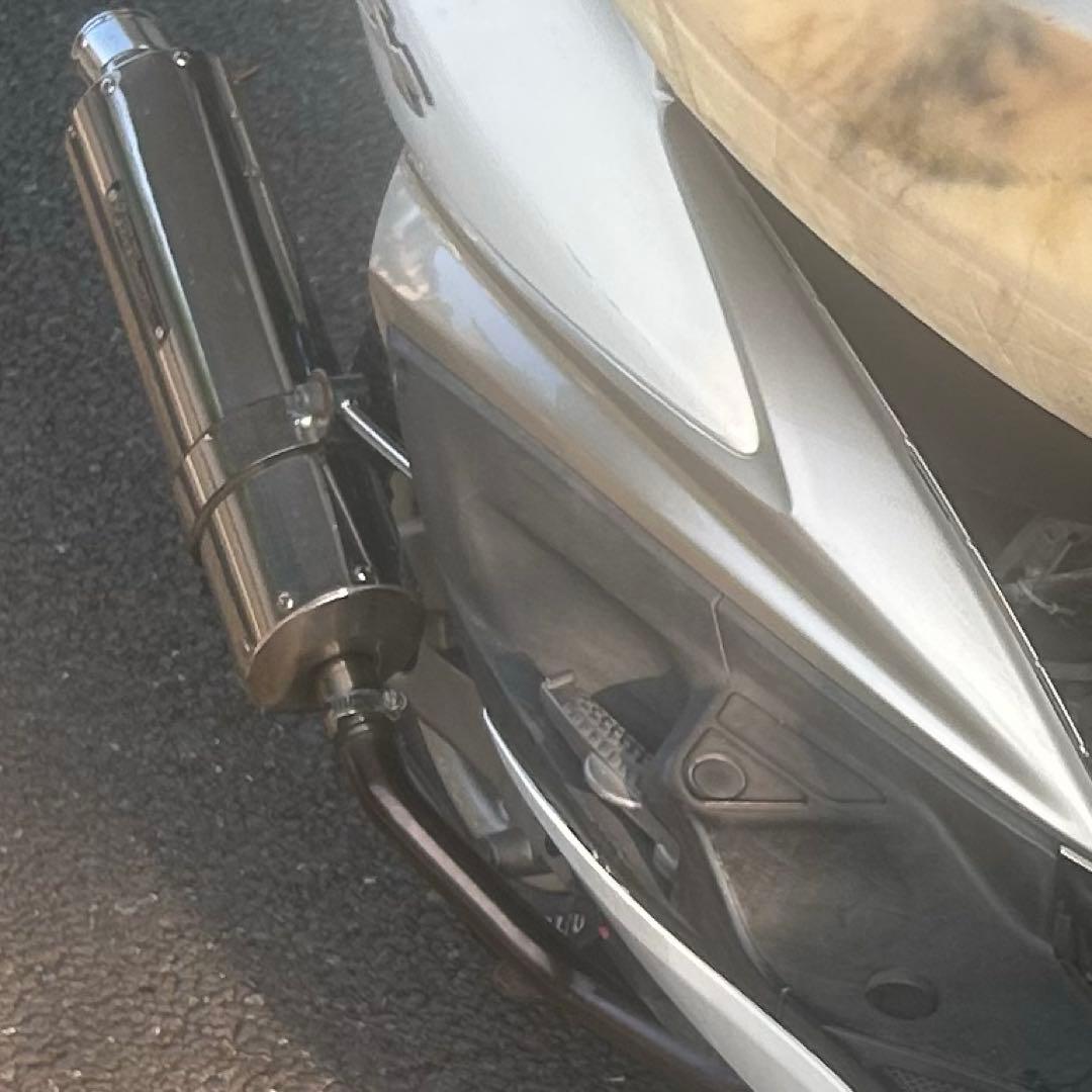 シグナスSE44j SP武川パワーサイレントオーバル