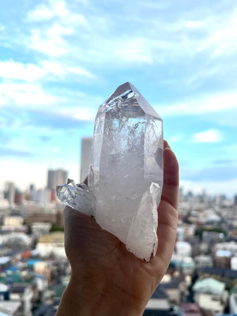 美✨超希少✨AAAAA 特大 コロンビアレムリアン✨my collection✨