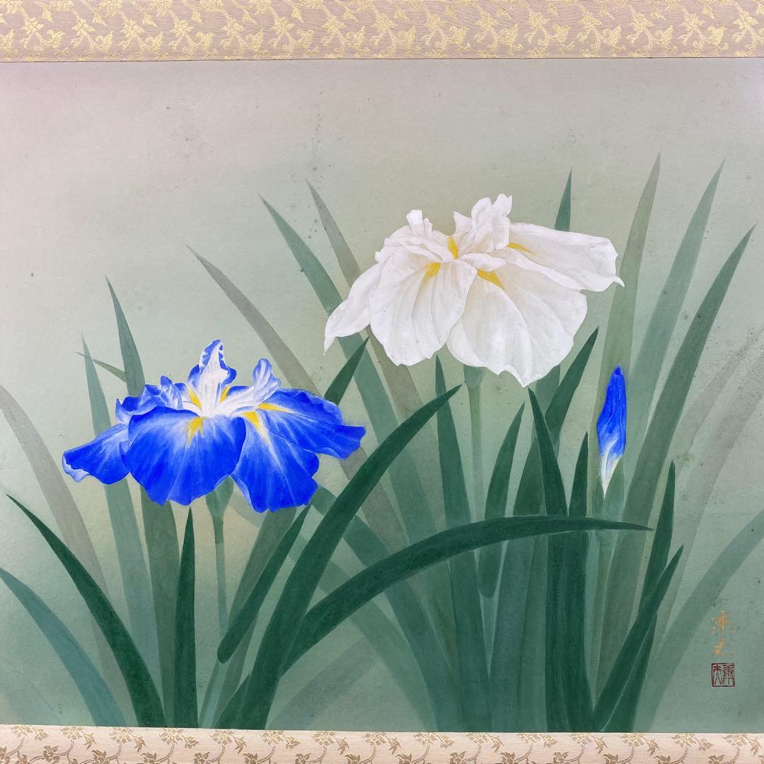 美品 掛け軸 鈴木康夫作 菖蒲図 共箱 太巻き付 夏掛け