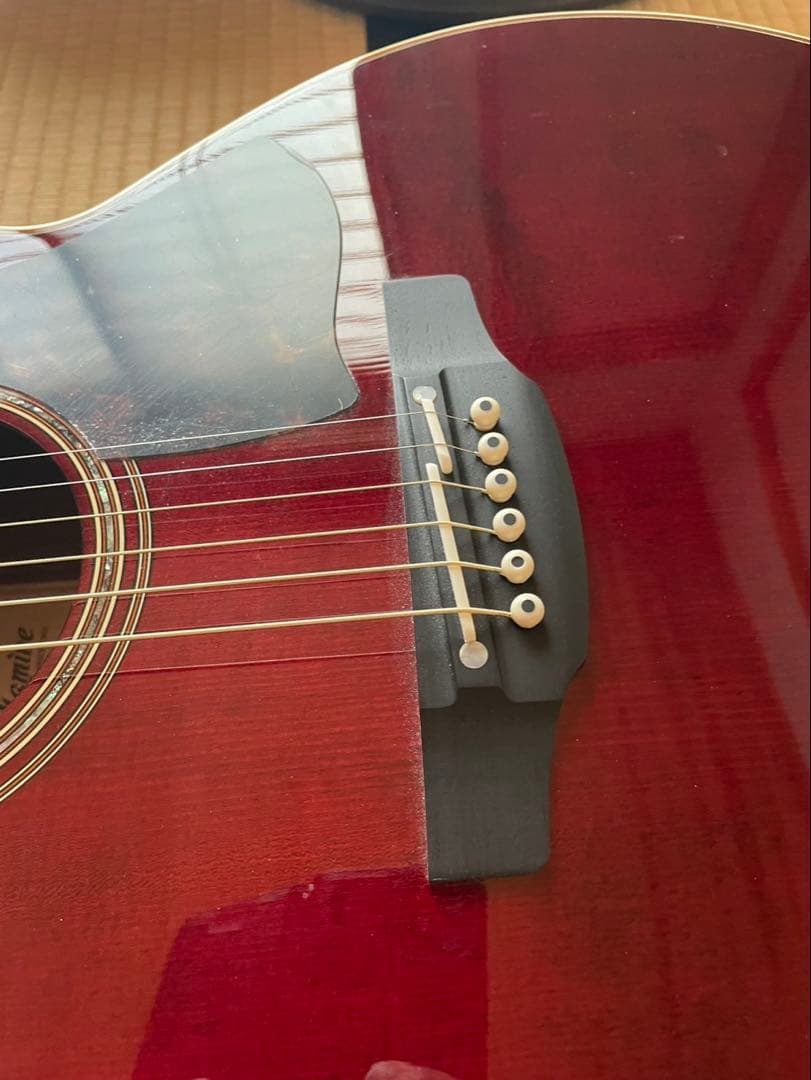 Takamine DMP50S WR アコースティックギター