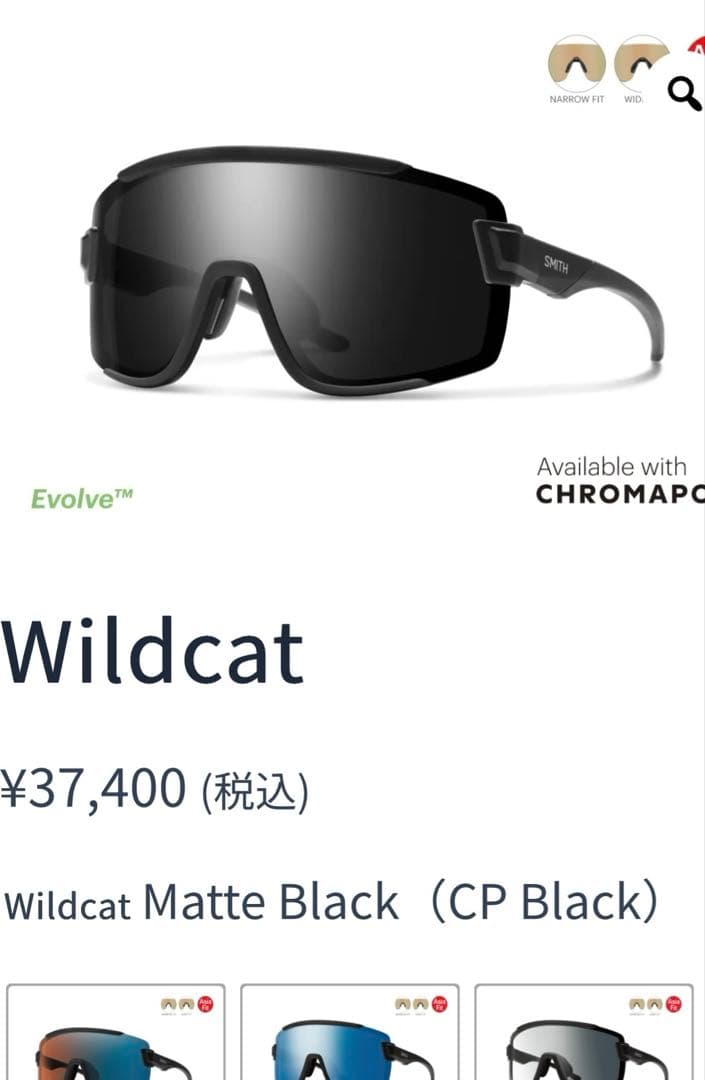 SMITH wildcat Matte Black（CP Black）