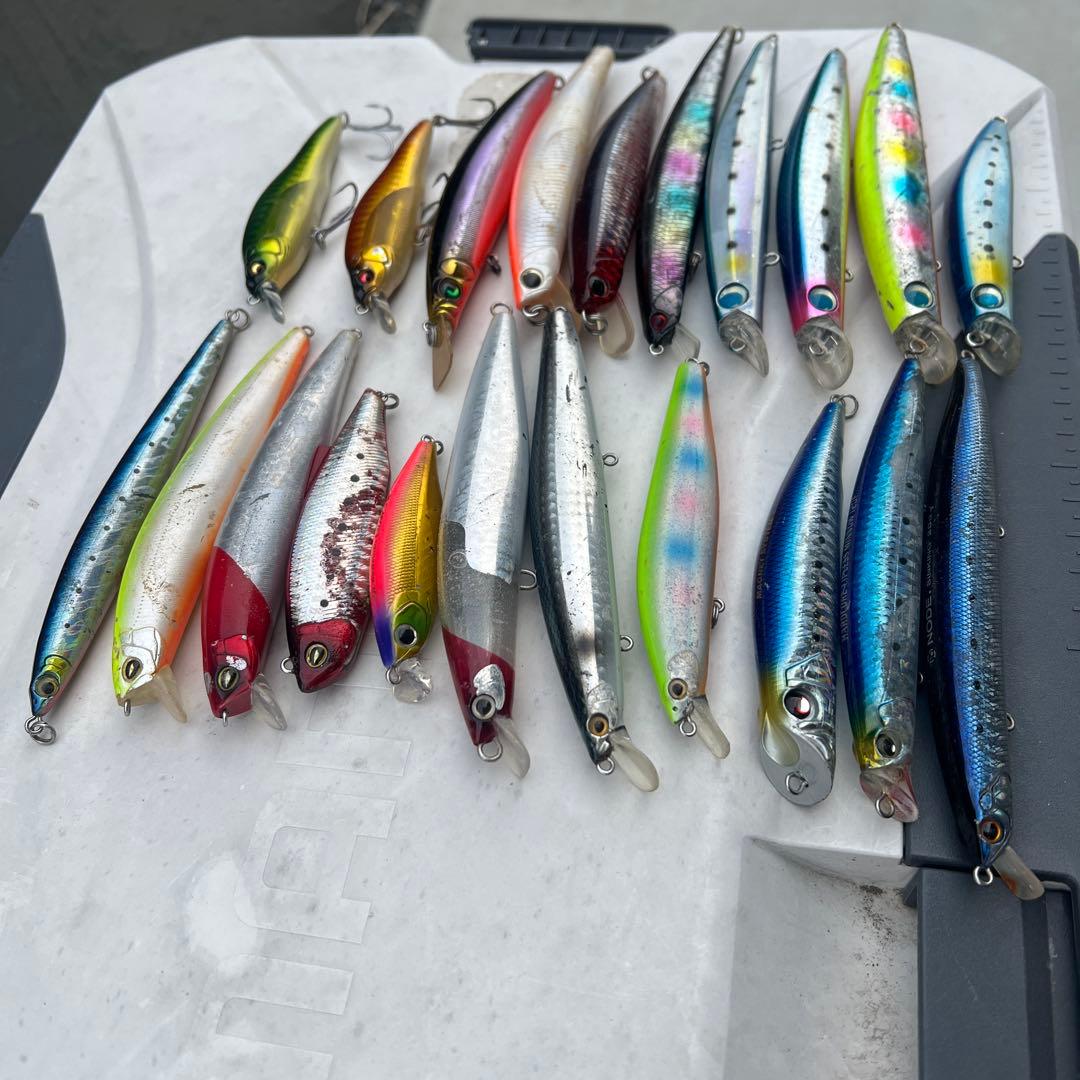 シーバス、ヒラスズキ、ヒラメ