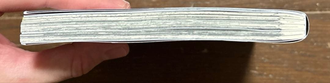 Devil May Cry 5 – Visions of V –⑤ 5巻