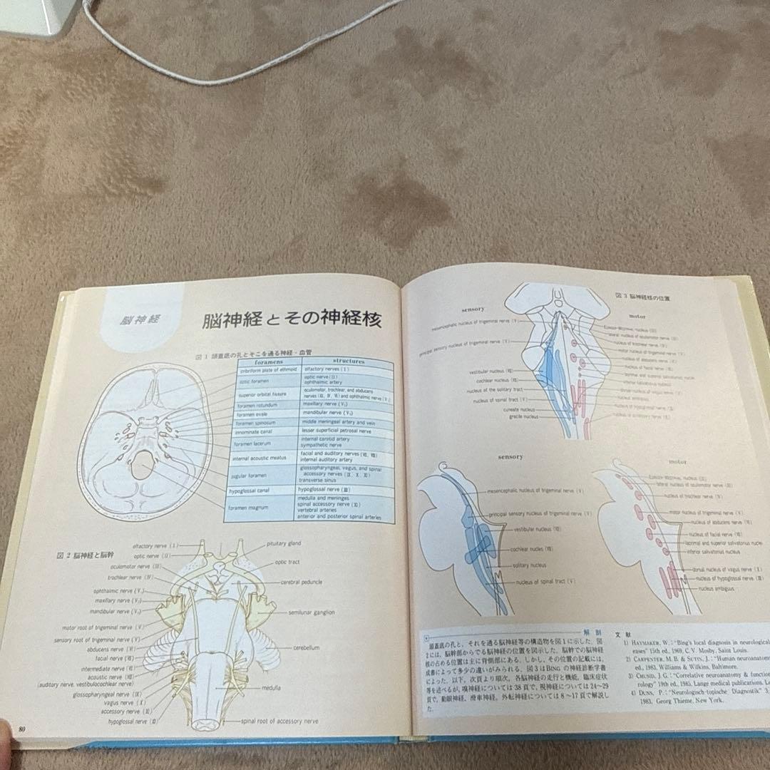 医学書　臨床のための神経機能解剖学　定価:税込¥17,600