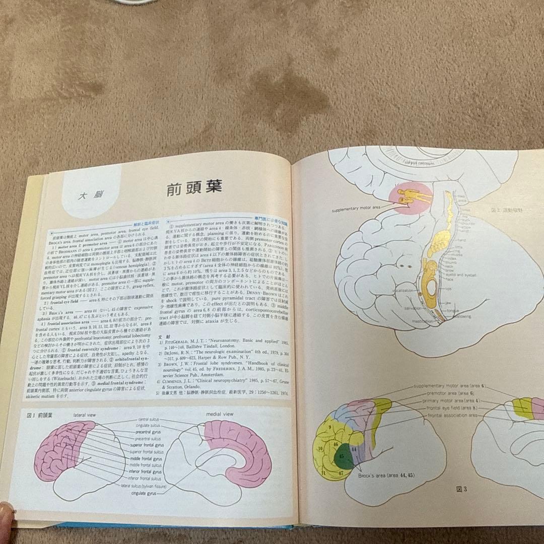 医学書　臨床のための神経機能解剖学　定価:税込¥17,600