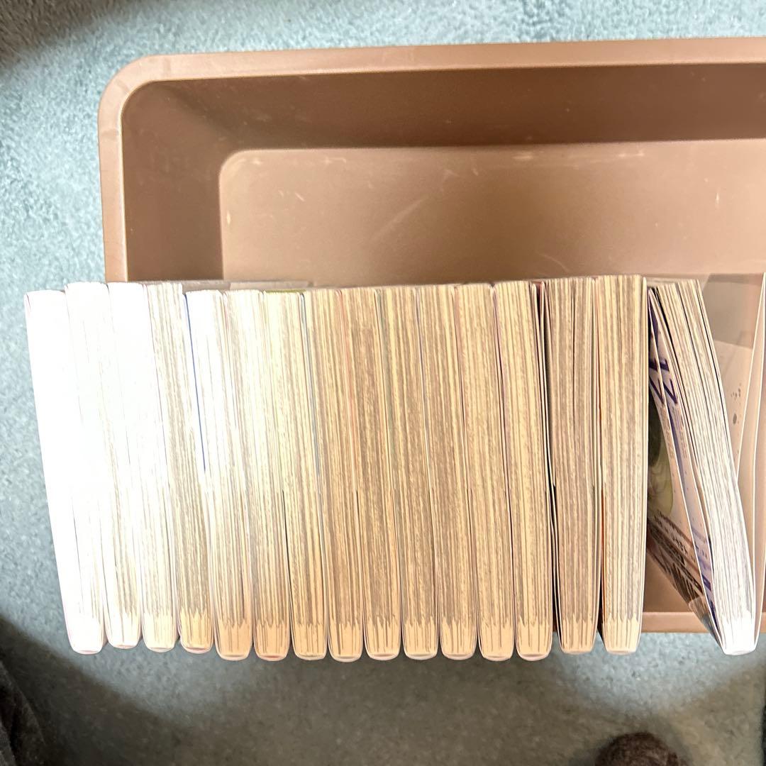 勇者パーティを追い出された器用貧乏1-17巻