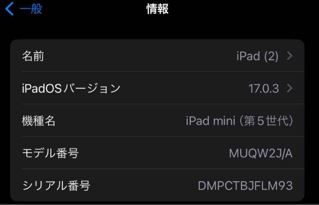 あ*様 【美品】iPad mini 第5世代 64GB Wi-Fi スペースグレ