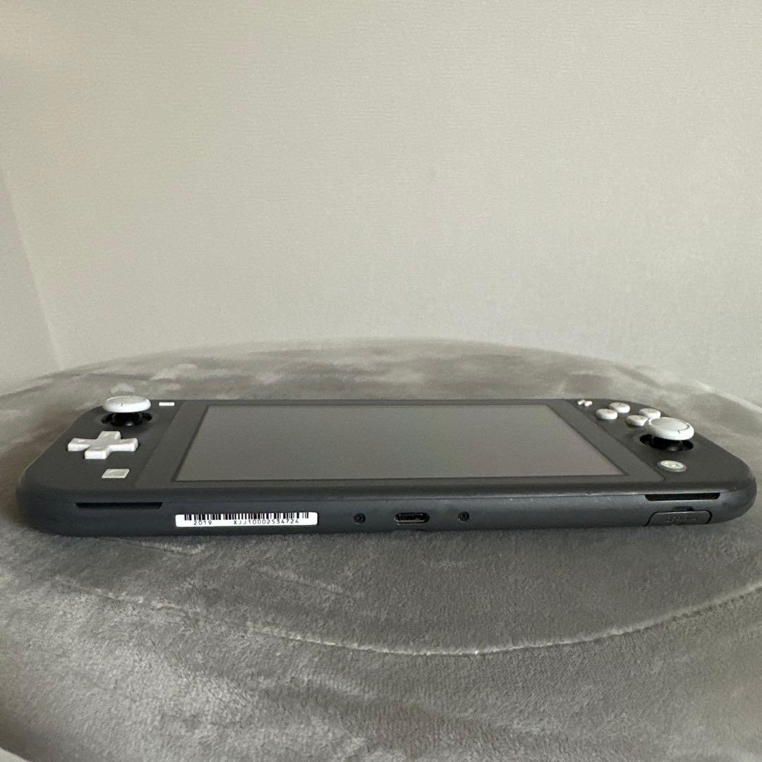 ☆Nintendo Switch Lite グレー 本体 ＋ケース付き☆