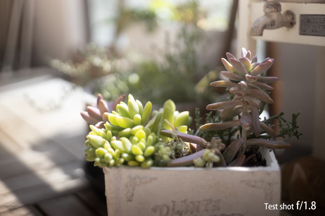 キヤノン A-1 ブラック FD 50mm f1.8 S.C. 動作確認済