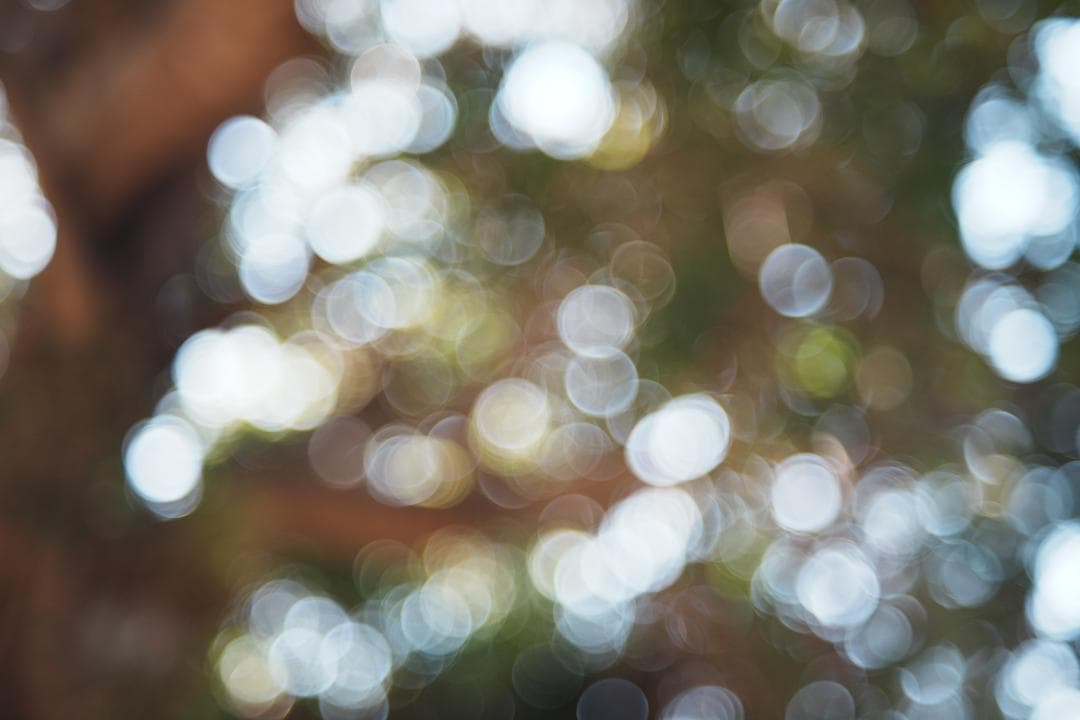 心地よいバブルボケと温かい描写 Fujinon 55mm F2.2 981