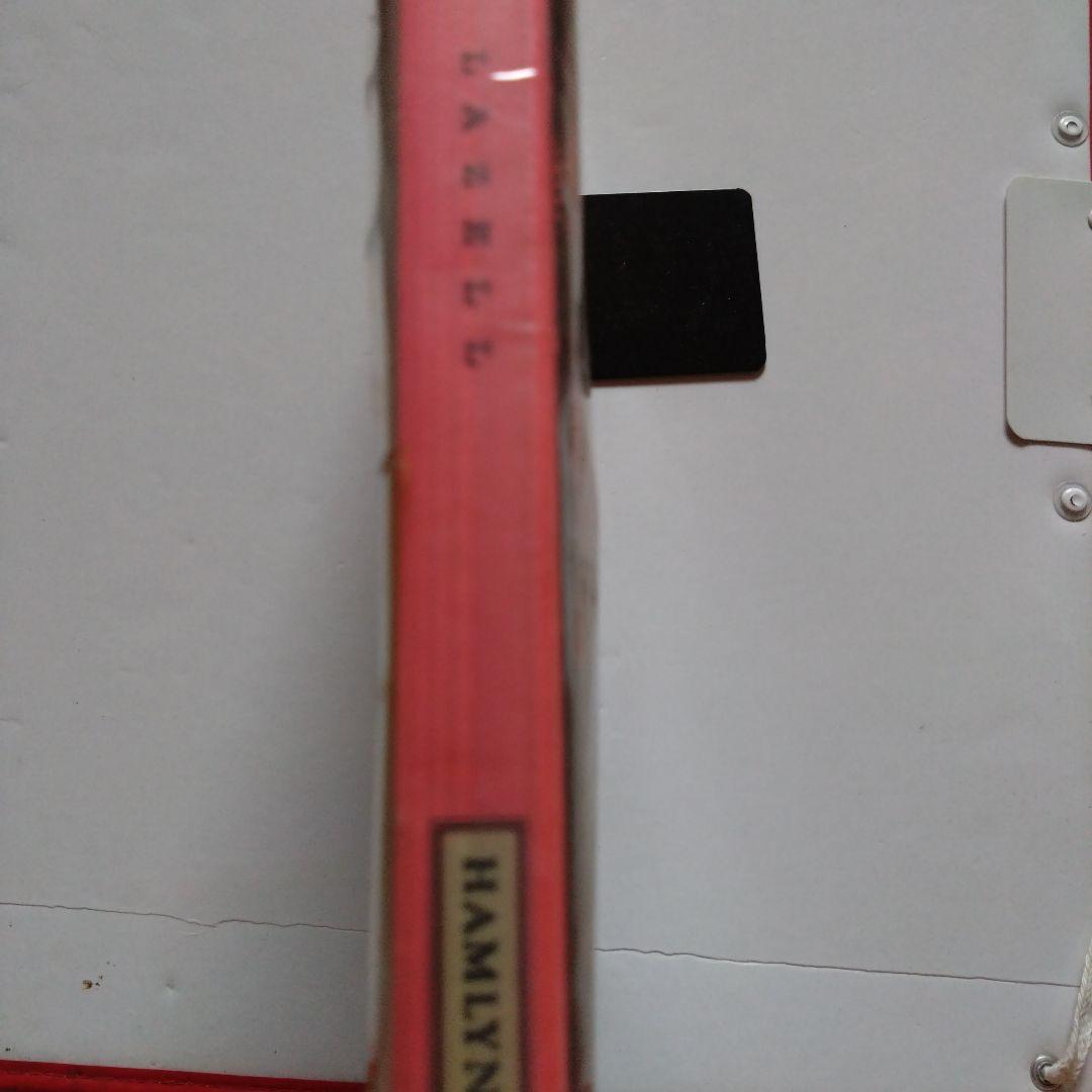 PUNK! バリー・ラゼル著