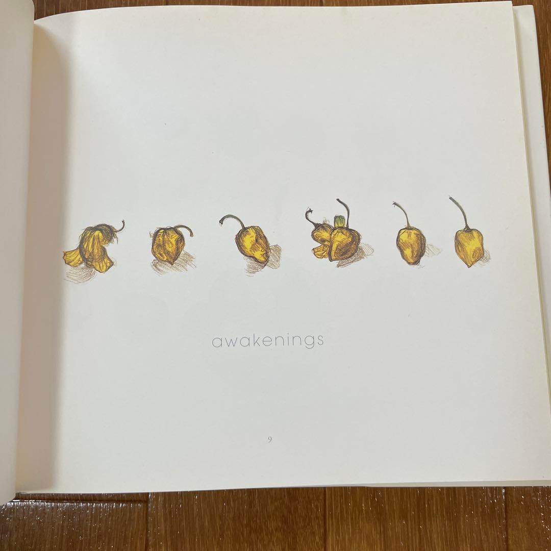 【直筆サイン入り】「N.Y. SALAD」天野喜孝