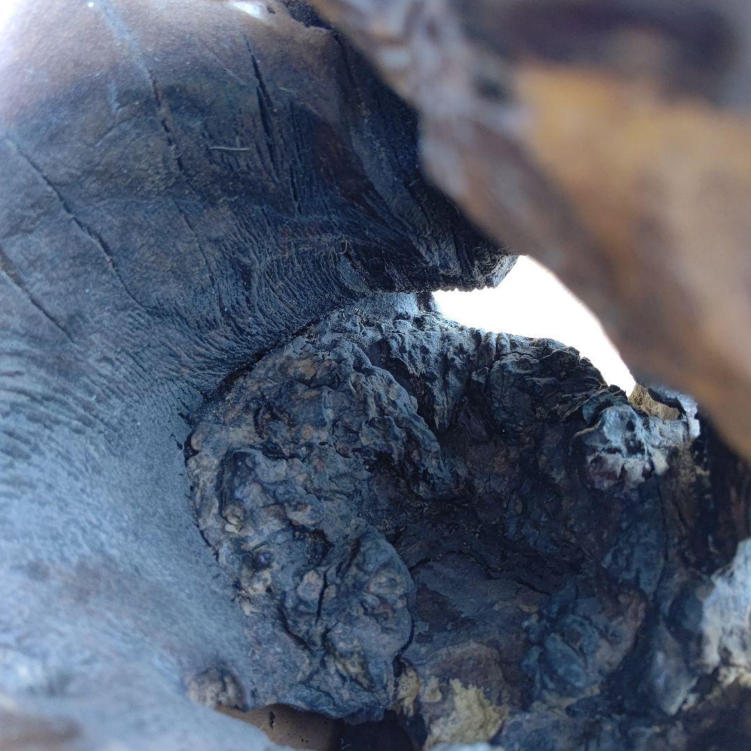 （未使用品）樹種不明　置物　インテリア　木　材木