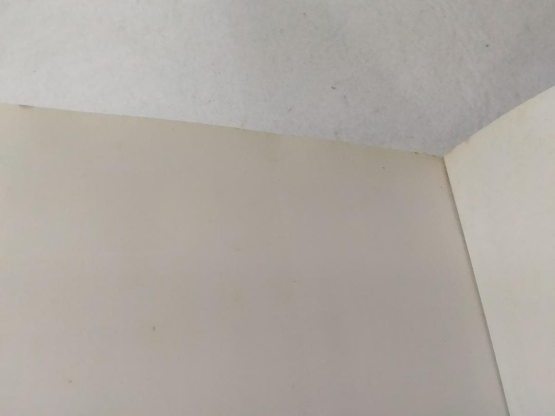 BACKLIT BY THE MOON バックリットバイザムーン 写真集