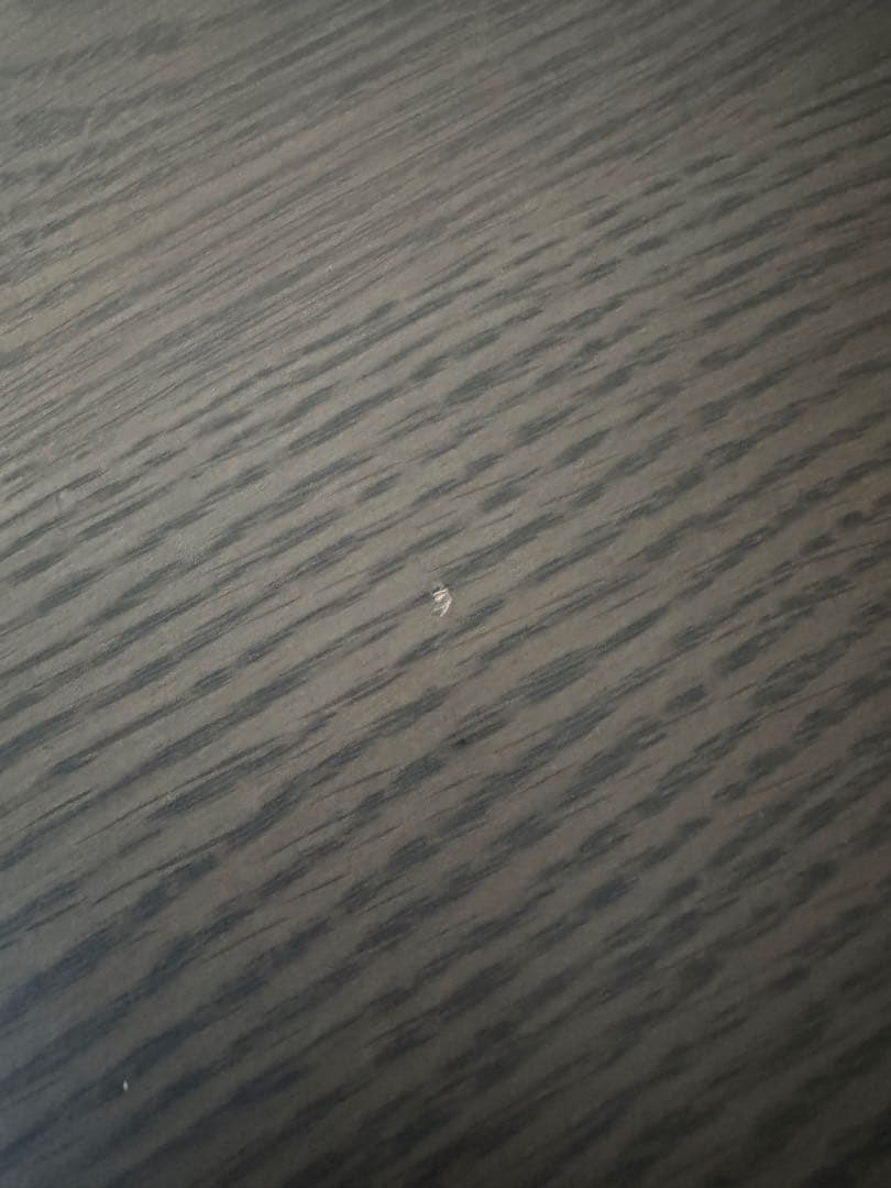 arflex アルフレックス　ステロコンフォート　テーブル明日の朝まで一時値下げ