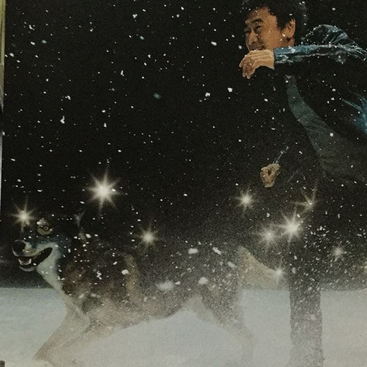 桑田佳祐/白い恋人達