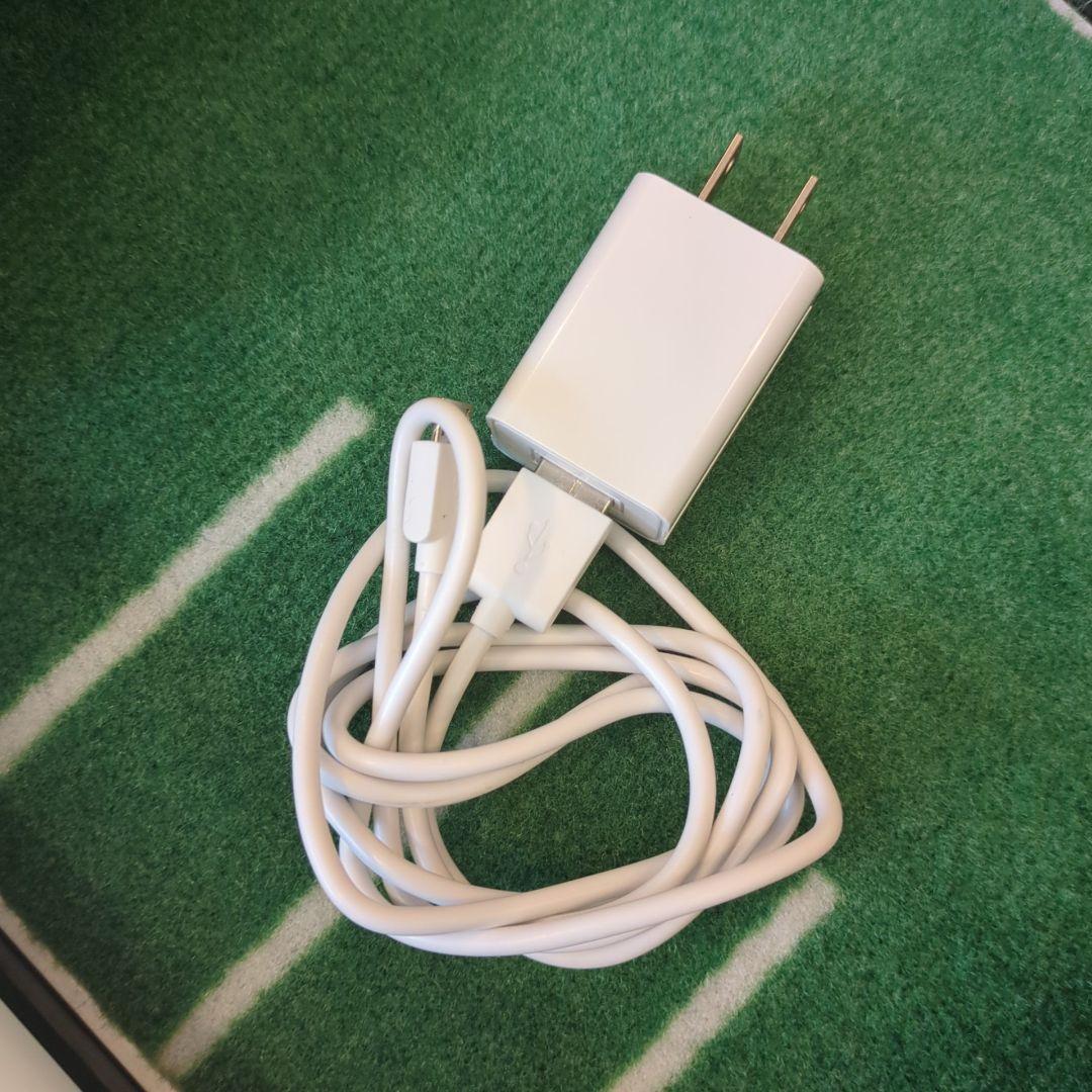 パター練習　InBirdie TEMPO インバーディーテンポ