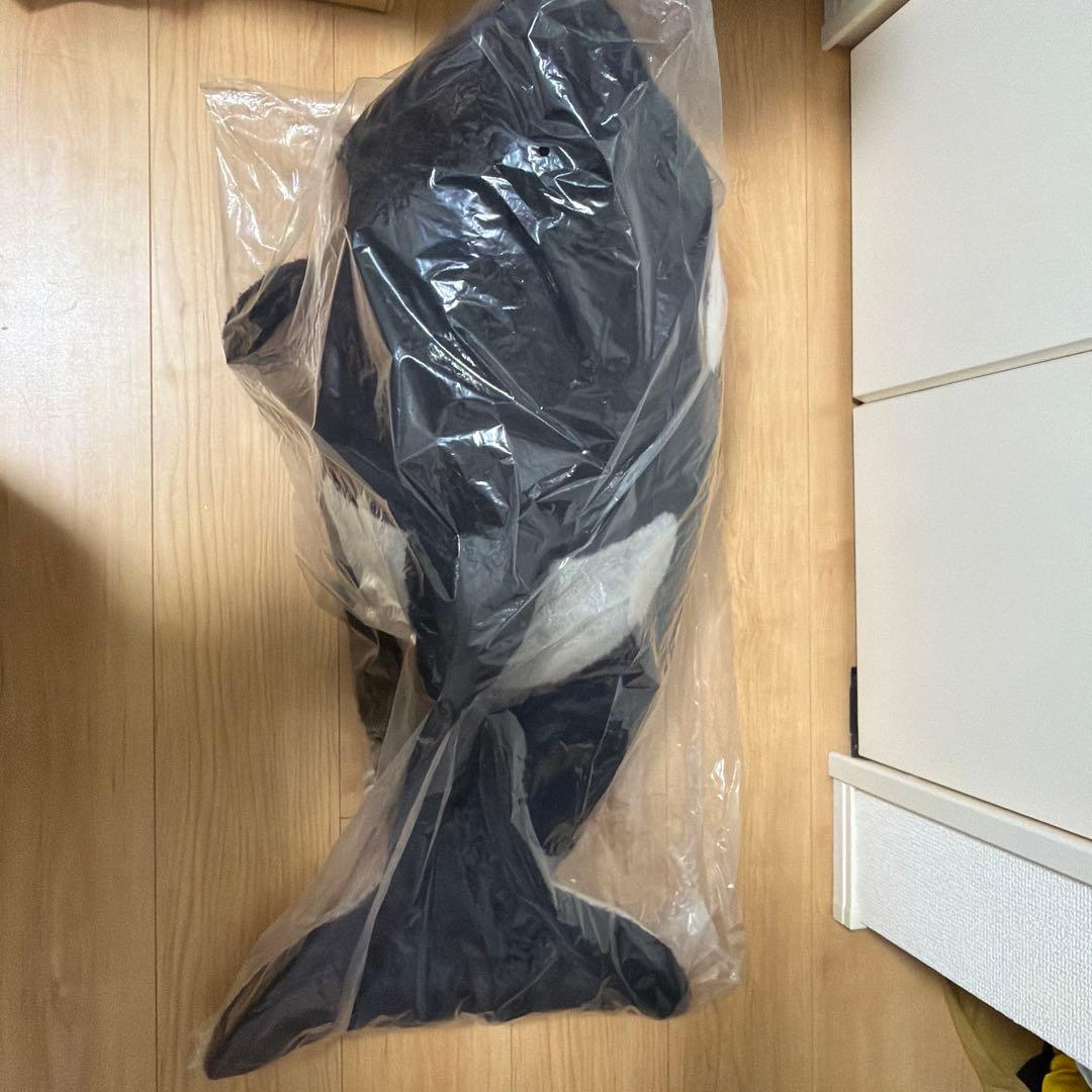 鴨川シーワールド シャチくじ 1等