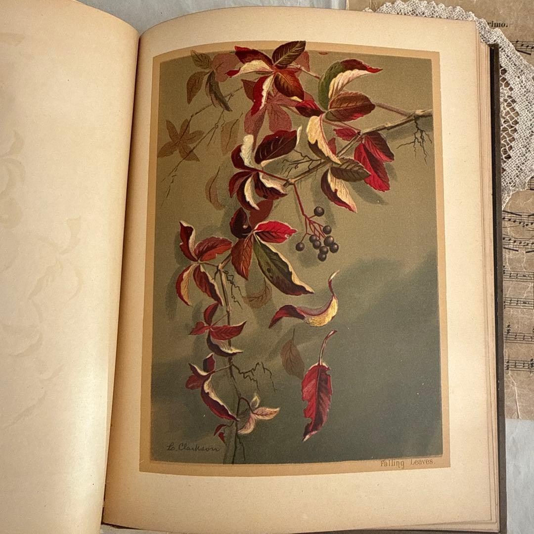 稀少1883年アンティーク美しい画集ヴィクトリアン洋書ジャンクジャーナル　古書