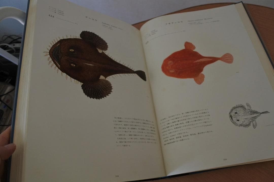 日本産魚類大図鑑　檜山義夫　安田富士郎　著　昭和46年初版