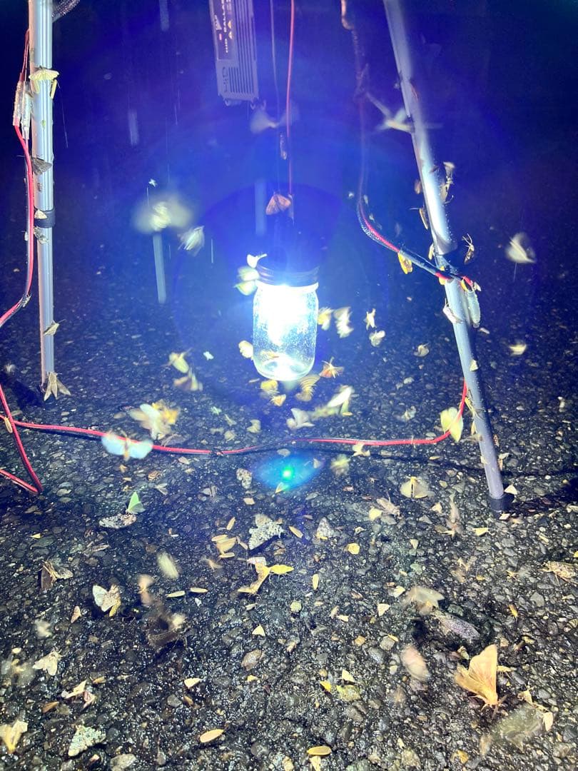 灯火採集　吊り下げ　置き型　ライトトラップ　HID55w 紫外線放出加工済