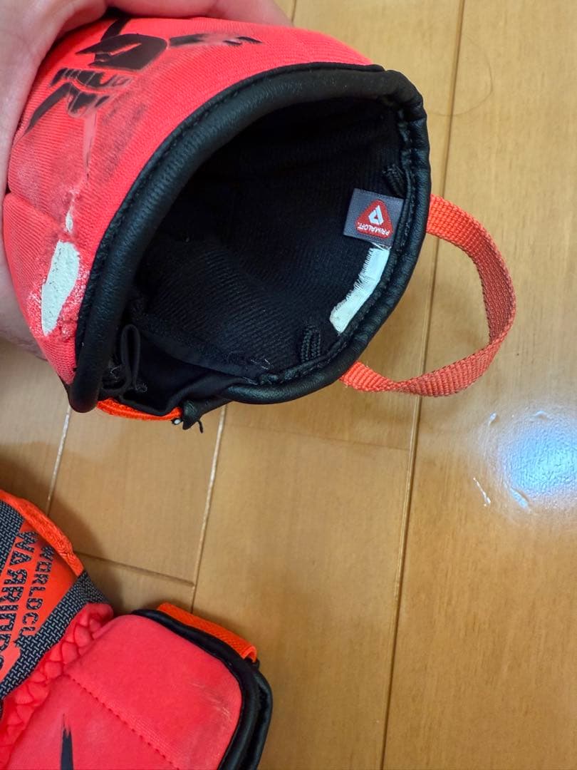 値下げ REUSCH ロイシュ スキーグローブ WORLDCUP WARRIOR