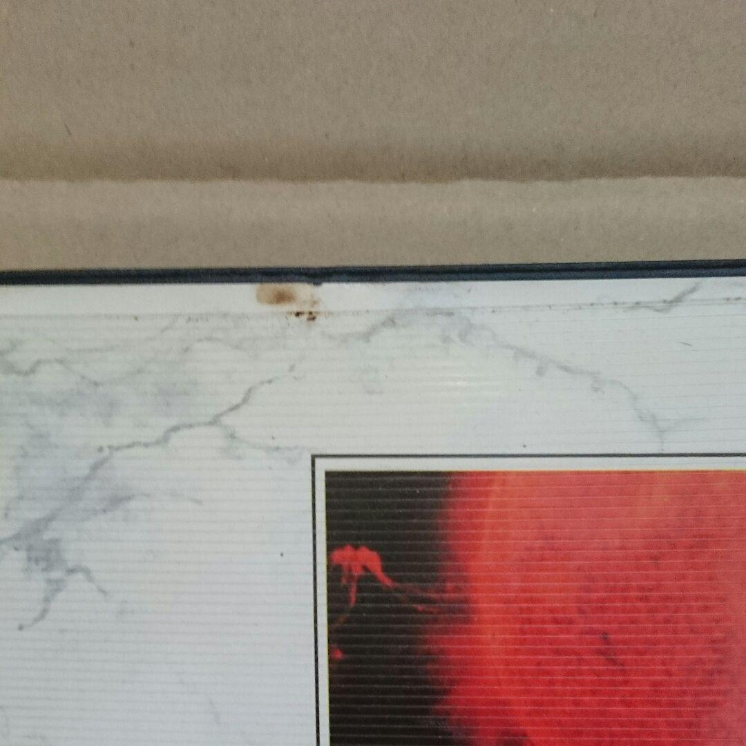 ＰＣ－９８０１用　シュヴァルツシルト　５”２ＨＤ