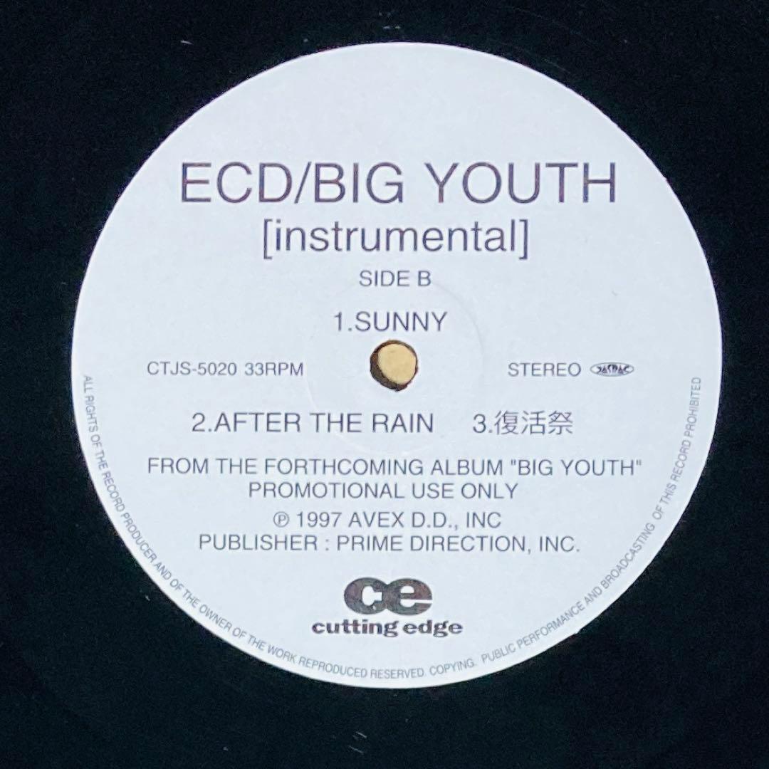 邦楽 BIG YOUTH INSTRUMENTAL / ECD