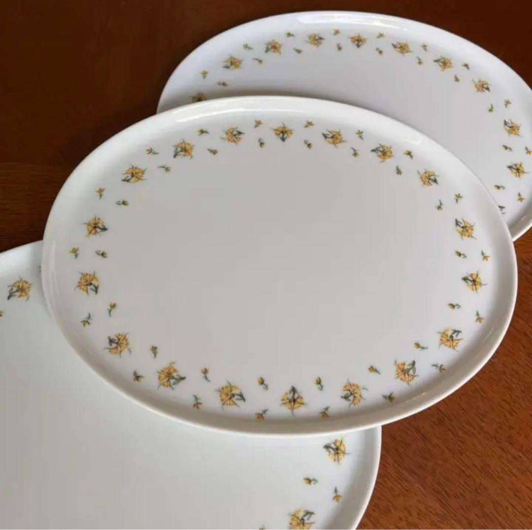 【未使用美品】レイノー・リモージュ★ブーゲンビリア★オーバルプレート　3枚