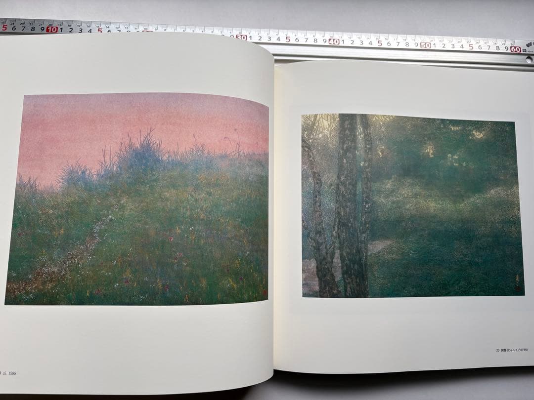 手塚雄二作品集　2冊　図録　大型本画集　日本画　絵画　素描