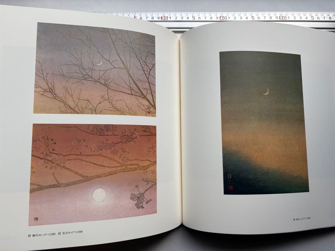 手塚雄二作品集　2冊　図録　大型本画集　日本画　絵画　素描