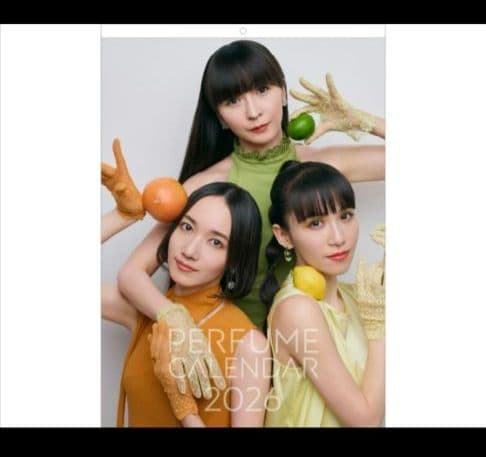 パフューム　グッズ　Perfume 2026 壁掛けカレンダー　未開封