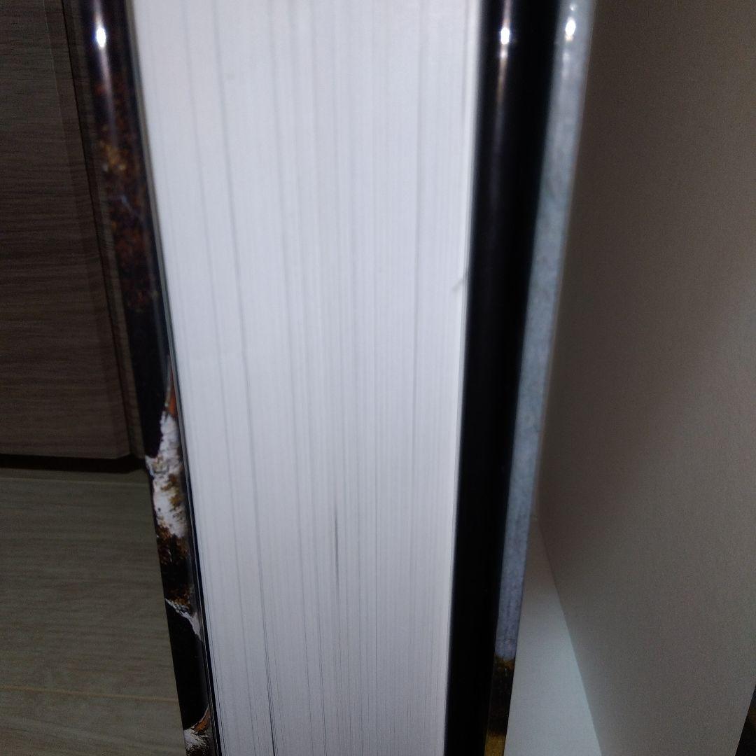 洋書 Jacob van Ruisdael: A Complete Catalogue