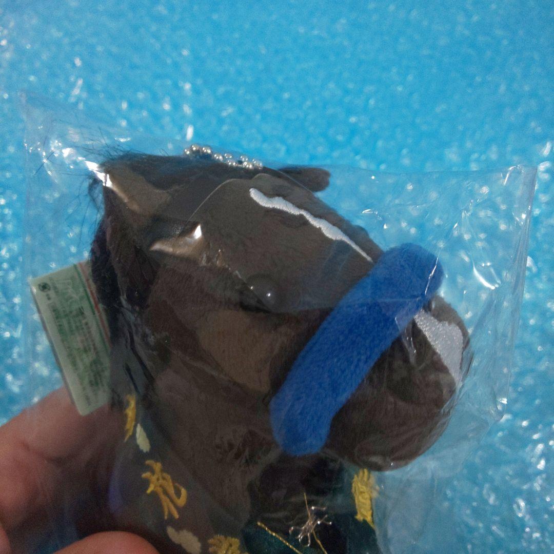 アイドルホース selection 第84回 菊花賞 ドゥレッツァ