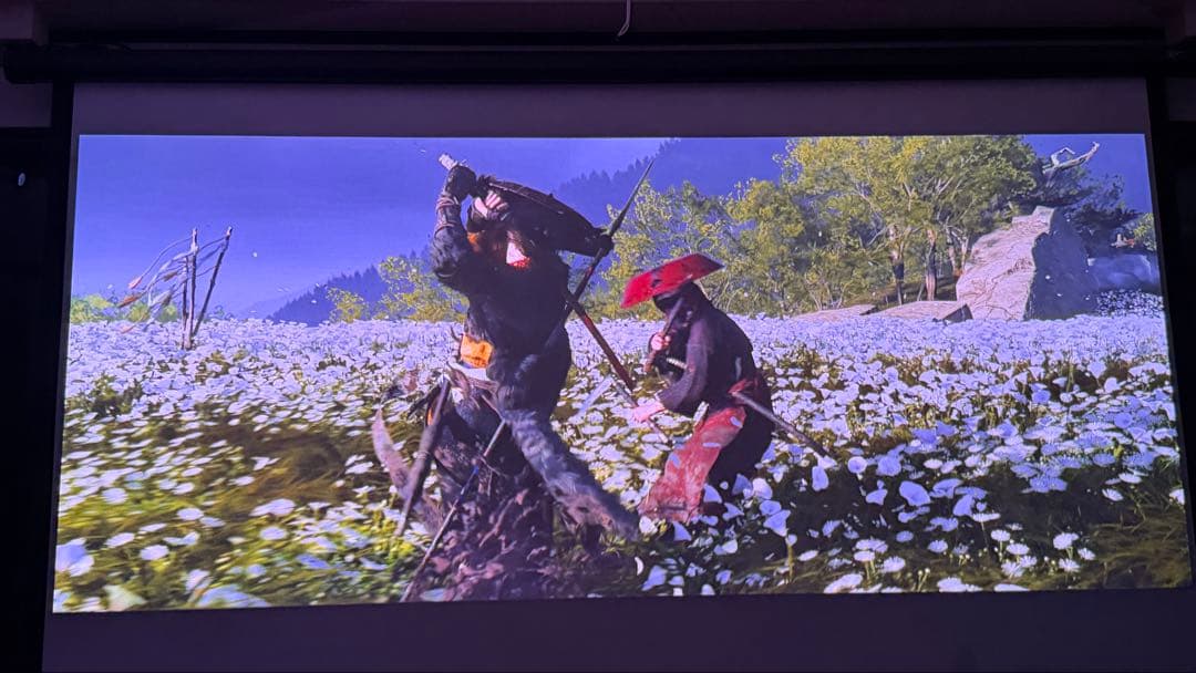 poji nega専用 REGZA RLC-V7R MAX プロジェクター本体