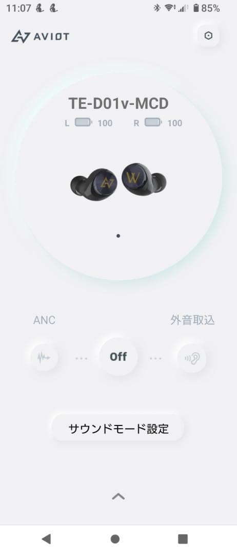 r*a様 AVIOT TE-D01v-MCD ワイヤレスイヤホン ワルキューレコ