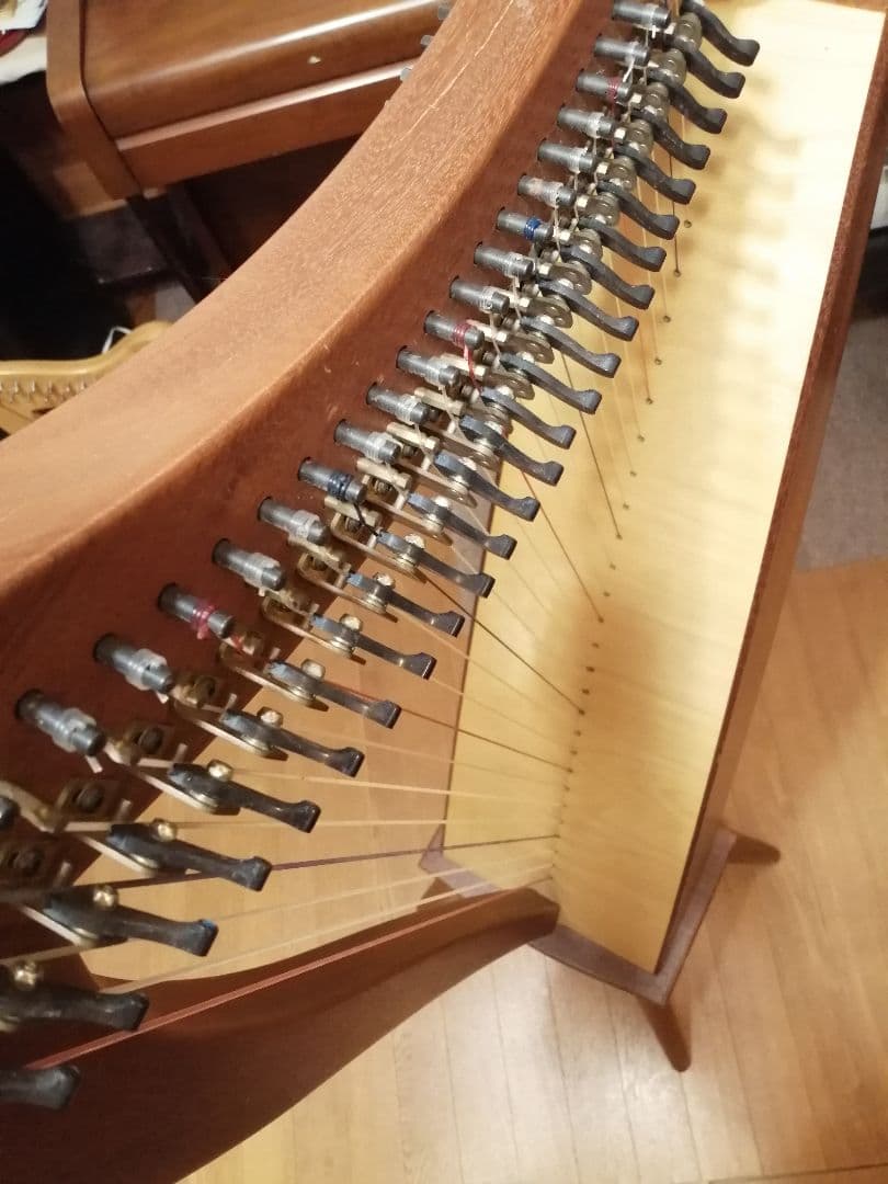 ダスティストリングス アレグロ　ハープ 本体