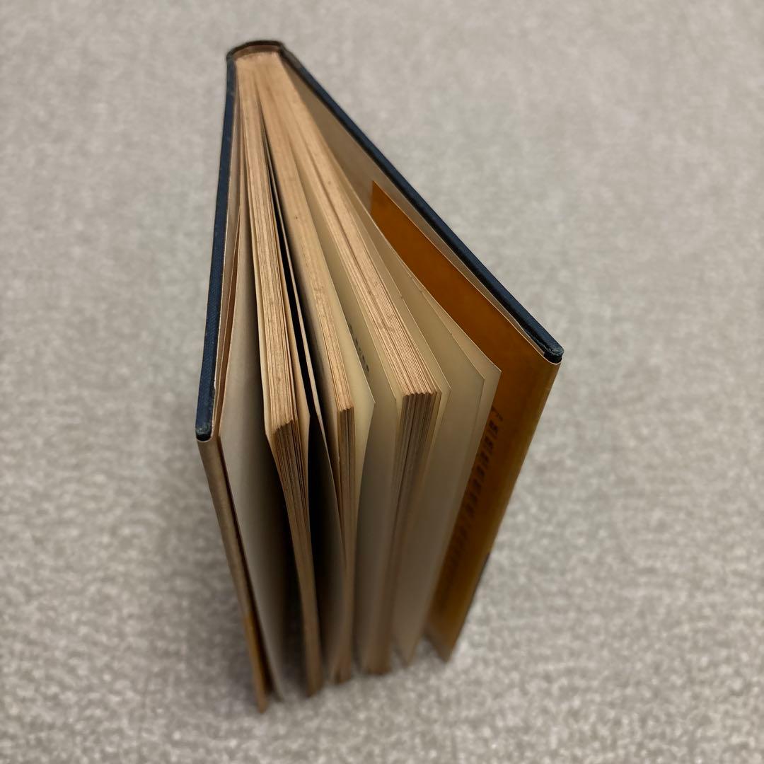 新編　受験ドイツ語　大学書林