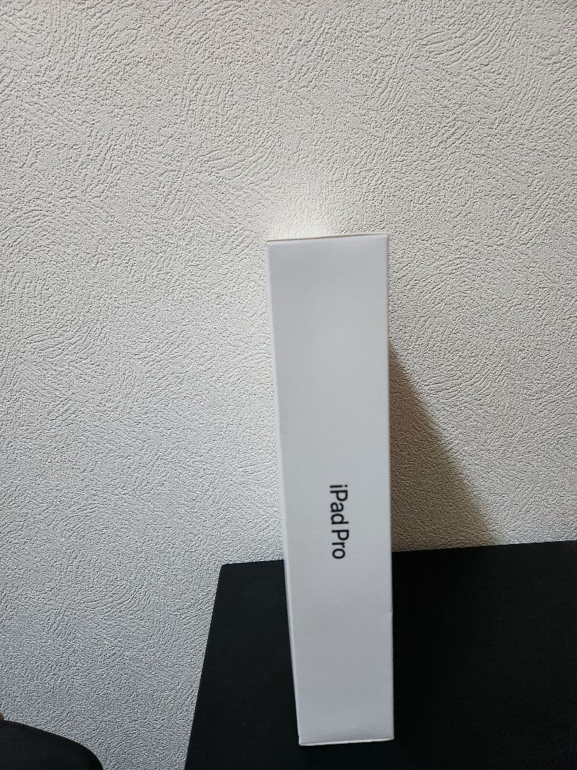 Apple iPad Pro 256GB スペースグレー 本体