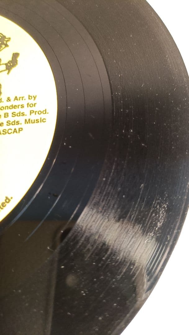 名盤☆レゲエ　Burro Banton /Westmoreland Sensi