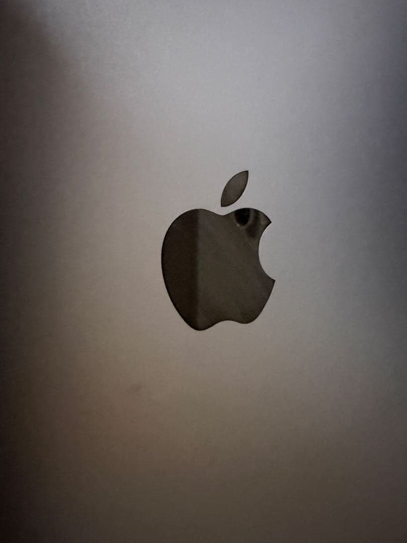 最終価格美品ipadAir第4世代　Wi-Fi 256GB