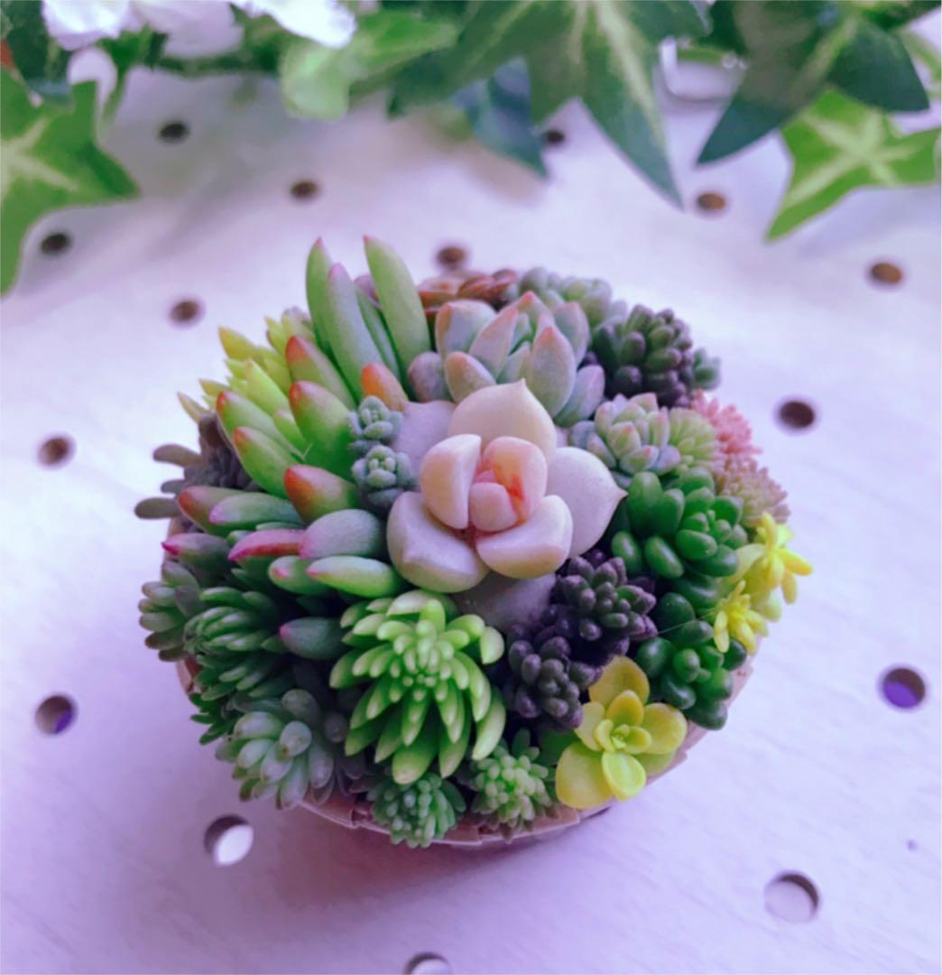 ★★セダム畑❤️★ちまちまキュンキュン★寄せ植え★このまま飾れます★多肉植物