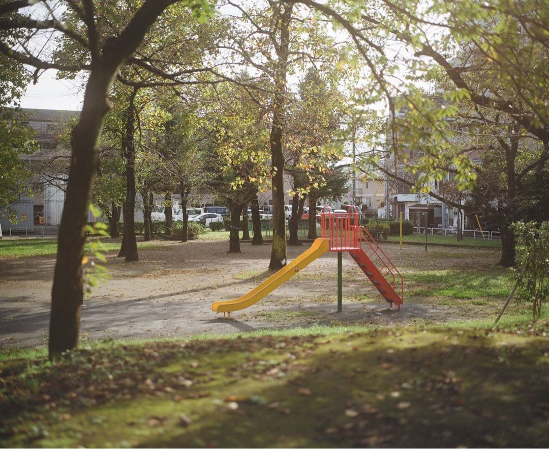 【美品】contax planar 50mm f1.4